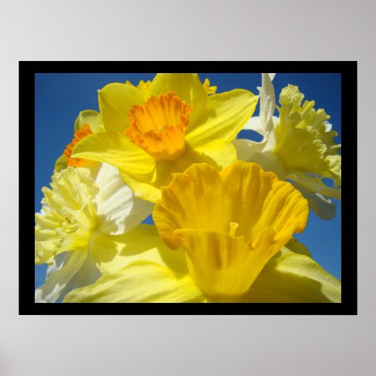 Mooie prints voor de Floral-kunst botanische graaf (Voorkant)