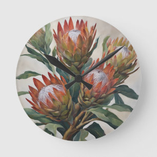 Mooie Protea Bloemen uit Zuid-Afrika Ronde Klok