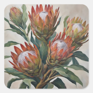 Mooie Protea Bloemen uit Zuid-Afrika Vierkante Sticker