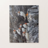 Mooie puffelvogels in de wilde oceaan legpuzzel (Verticaal)