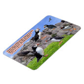 Mooie Puffin Schrift Magnet Spreuken 22:6 Magneet (Linkerzijde)