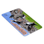 Mooie Puffin Schrift Magnet Spreuken 22:6 Magneet (Rechterzijde)