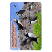 Mooie Puffin Schrift Magnet Spreuken 22:6 Magneet (Verticaal)