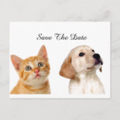 Mooie puppy en kat aankondigingskaart (Voorkant)