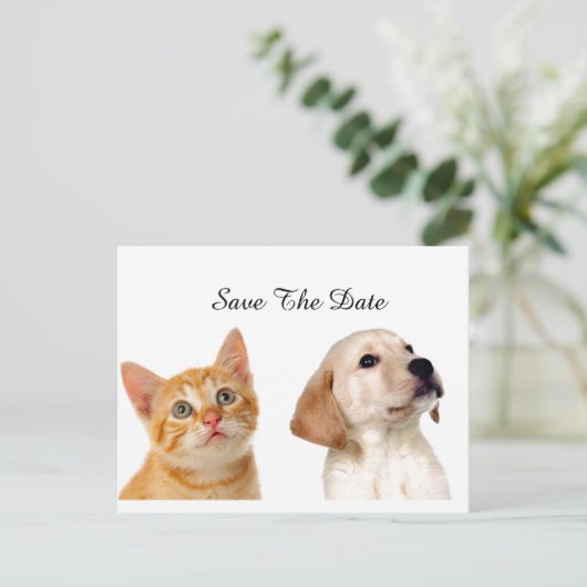 Mooie puppy en kat aankondigingskaart (Staand voorkant)