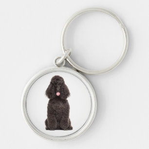 Mooie Puppy Hond Liefhebber Zwarte Poodle Sleutelh Sleutelhanger