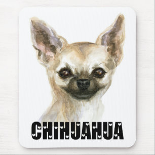 Mooie Puppy Hond Moeder Waterverf Chihuahua Muisma Muismat