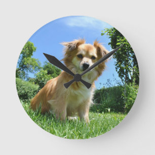 Mooie puppy in de tuinfoto ronde klok