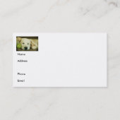 Mooie puppy visitekaartje (Achterkant)