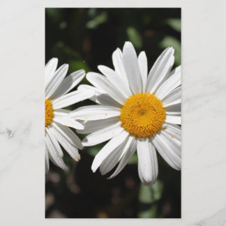 Mooie pure witte madeliefjes bloemen briefpapier