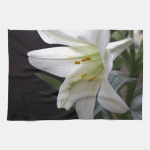 Mooie, pure witte Paaslelie bloem in het zwart Theedoek