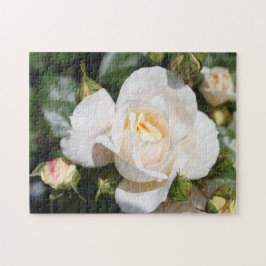 mooie pure witte rozen bloemen. liefde, romantiek legpuzzel