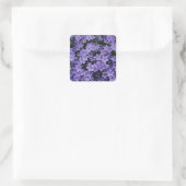 Mooie Purple Flowers Sticker set (Tas)