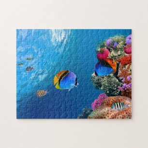 Mooie puzzel voor koraal onderwater