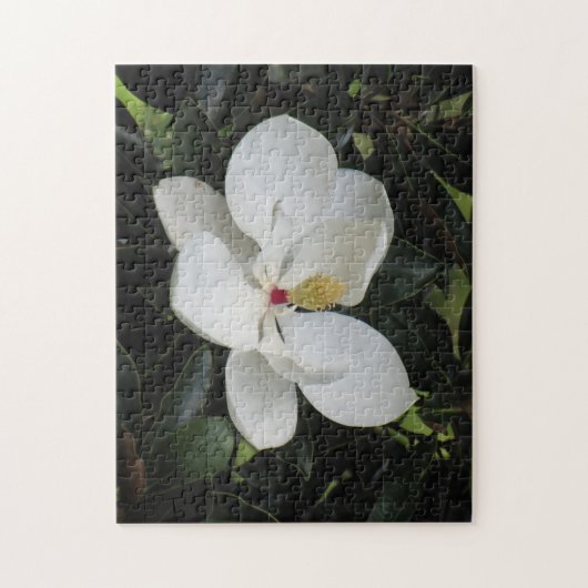 Mooie puzzle voor buitengebruik legpuzzel (Verticaal)