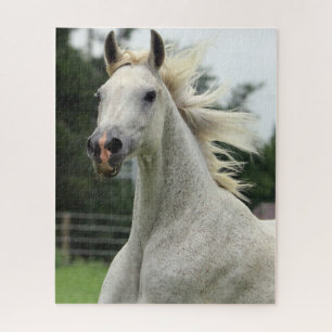 Mooie puzzle voor een Arabisch paard Legpuzzel