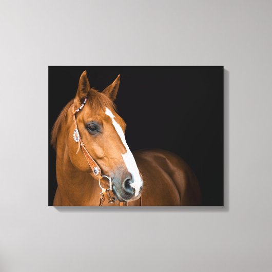Mooie Quarter Horse Foto Canvas Afdruk (Voorkant)