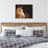 Mooie Quarter Horse Foto Canvas Afdruk (Insitu (Slaapkamer))