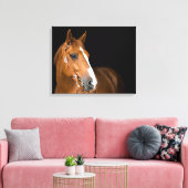 Mooie Quarter Horse Foto Canvas Afdruk (Insitu (Woonkamer))