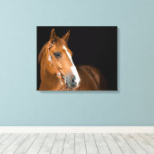 Mooie Quarter Horse Foto Canvas Afdruk (Insitu (Houten vloer))