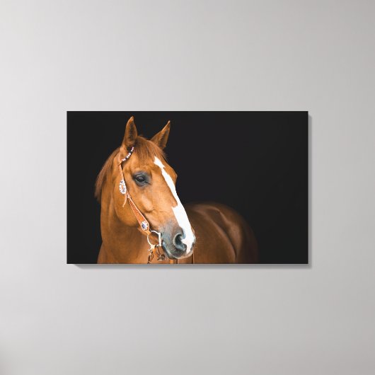 Mooie Quarter Horse Foto Canvas Afdruk (Voorkant)