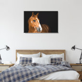 Mooie Quarter Horse Foto Canvas Afdruk (Insitu (Slaapkamer))
