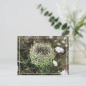 Mooie Queen Anne's Lace  Floral Briefkaart (Staand voorkant)
