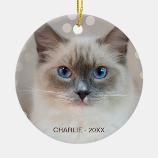 Mooie Ragdoll Cat & Editable Name Keramisch Ornament (Voorkant)