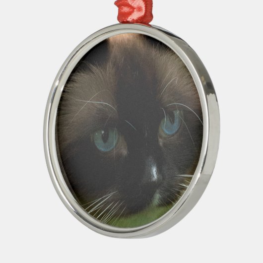 Mooie Ragdoll Cat Ornament (Links)