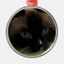 Mooie Ragdoll Cat Ornament