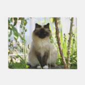 Mooie Ragdoll Deurmat (Voorkant)