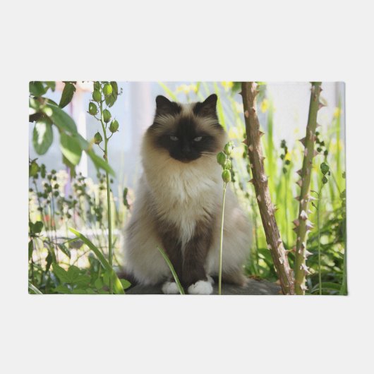 Mooie Ragdoll Deurmat (Voorkant)