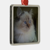Mooie Ragdoll Hymalayan Cat Gazing in Winter Metalen Ornament (Rechts)