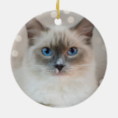 Mooie Ragdoll Kat & Bewerkbare Naam Keramisch Ornament (Achterkant)