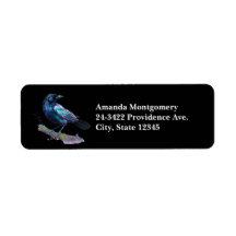 Mooie Raven op een boomtak