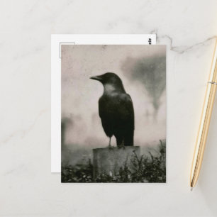 Mooie Raven Vintage Fotografie Briefkaart
