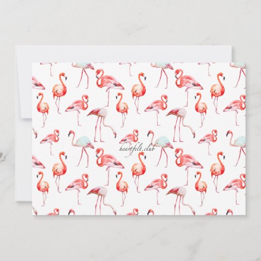 Mooie reactiekaarten voor Flamingos Kaart (Achterkant)