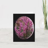 Mooie Red Bud-boom..... Kaart (Voorkant)