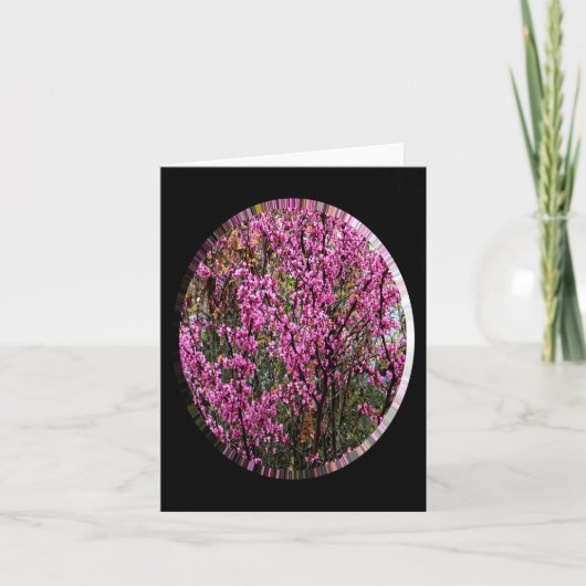 Mooie Red Bud-boom..... Kaart (Voorkant)