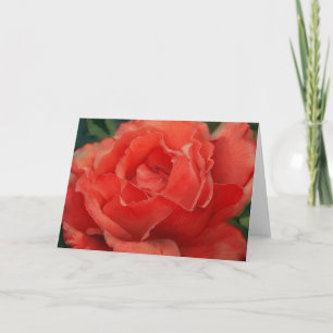 Mooie Red Coral Roos Art Note Kaart