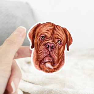 Mooie Red Mastiff Dog Sticker