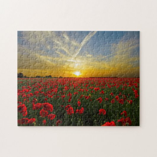 Mooie Red Poppy Field Sunset fotografie Legpuzzel (Horizontaal)