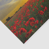 Mooie Red Poppy Field Sunset fotografie Tissuepapier (Detail)