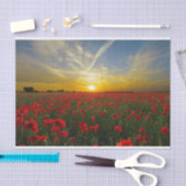 Mooie Red Poppy Field Sunset fotografie Tissuepapier (Craft)