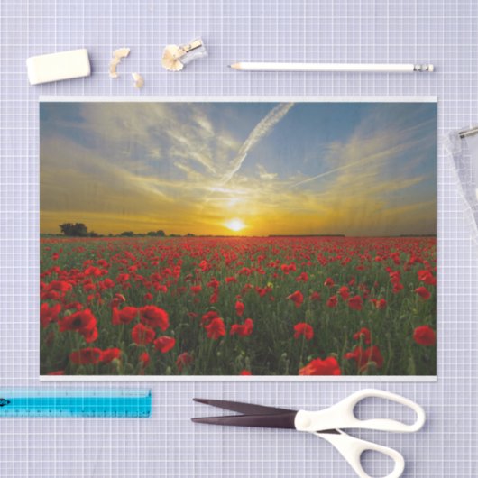 Mooie Red Poppy Field Sunset fotografie Tissuepapier (Craft)