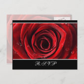Mooie Red Rose bruiloft RSVP - Zwart Uitnodiging Briefkaart (Voorkant / Achterkant)