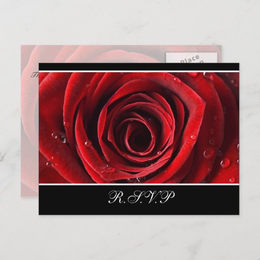 Mooie Red Rose bruiloft RSVP - Zwart Uitnodiging Briefkaart (Voorkant / Achterkant)