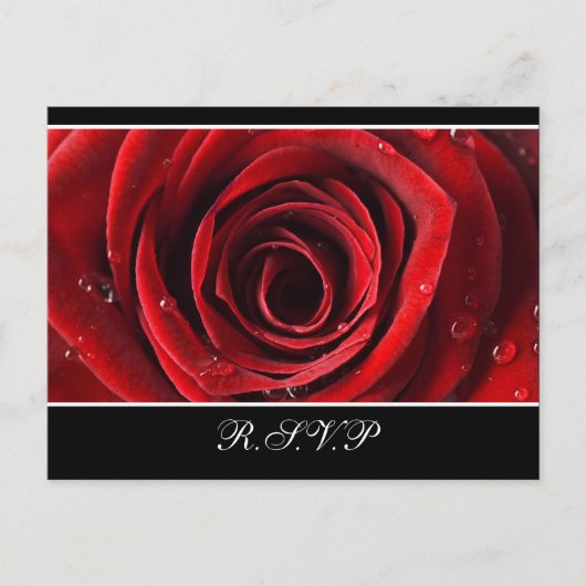 Mooie Red Rose bruiloft RSVP - Zwart Uitnodiging Briefkaart (Voorkant)