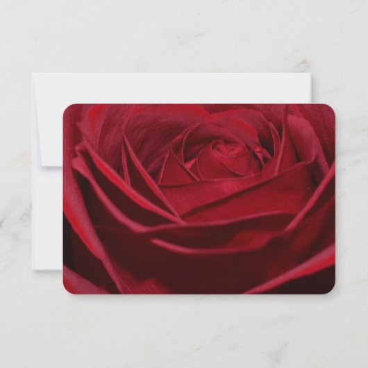 Mooie Red Rose Romantische RSVP (Achterkant)