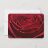 Mooie Red Rose Romantische RSVP Kaartje (Achterkant)